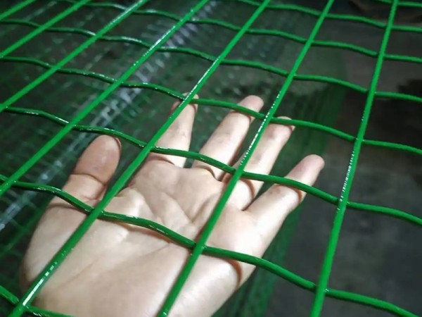 洛陽荷蘭網(wǎng)